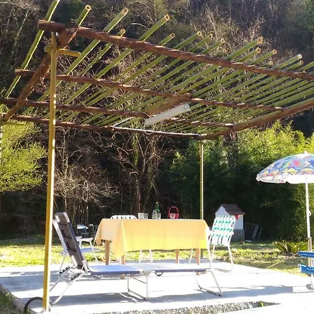 The Green House *