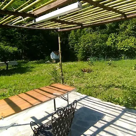 The Green House